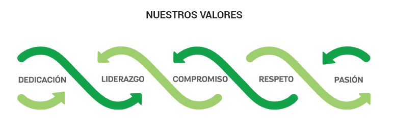 valores